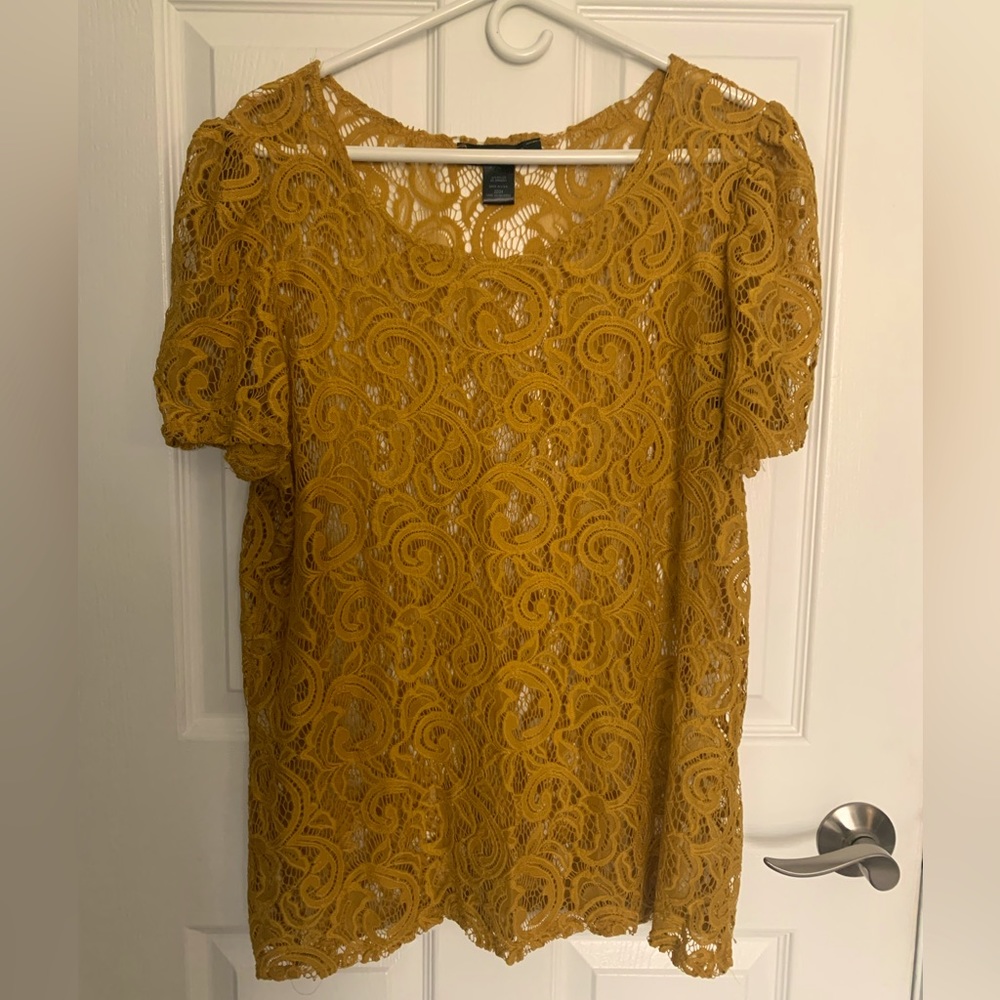 Ashley Stewart Gold or Mustard Stretch Lace Short Sleeve Top Size 22/24